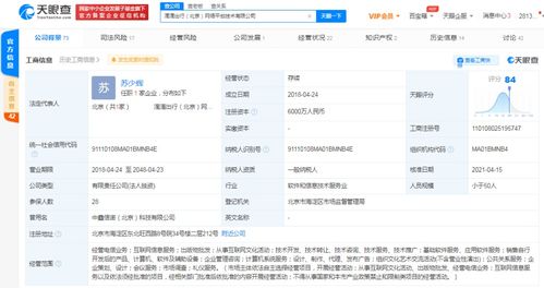 計(jì)算機(jī)軟件的技術(shù)開(kāi)發(fā)與銷(xiāo)售 創(chuàng)新驅(qū)動(dòng)與市場(chǎng)拓展的雙輪驅(qū)動(dòng)